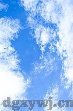 欧美伦理片在人线2018-欧美伦理片在2018年的新视角与文化反思