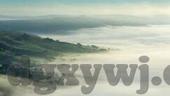人妻精品中文-品味生活，人妻的精致中文世界
