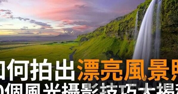 糖心app七客分享-探索网络分享平台糖心app的多样价值与七客分享的独特性