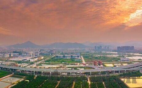 糖心app上不去了-用户心声，糖心APP不可用谜团解析及替代方案探讨